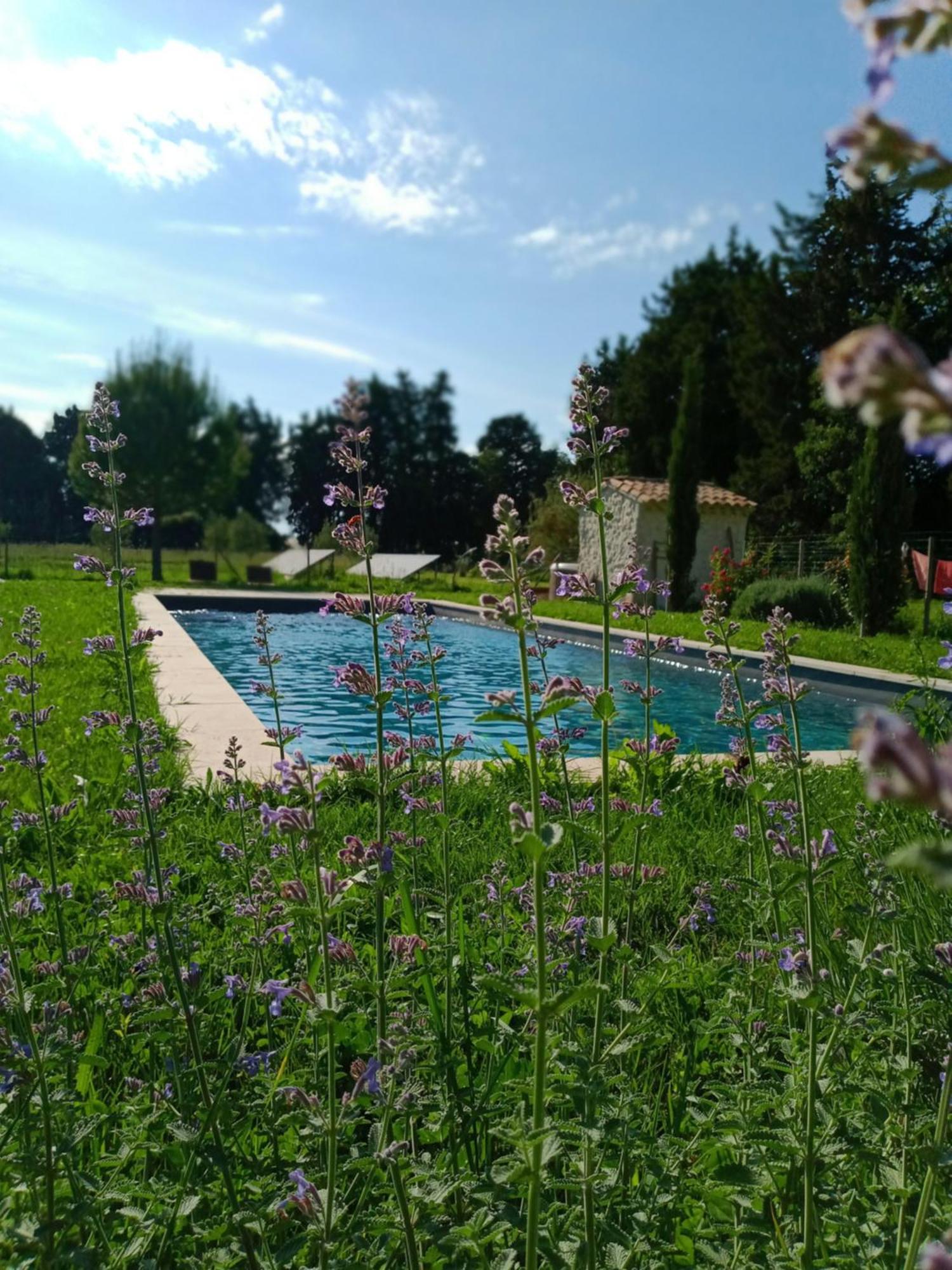 Mas De Karlotte Apartment Pernes-les-Fontaines