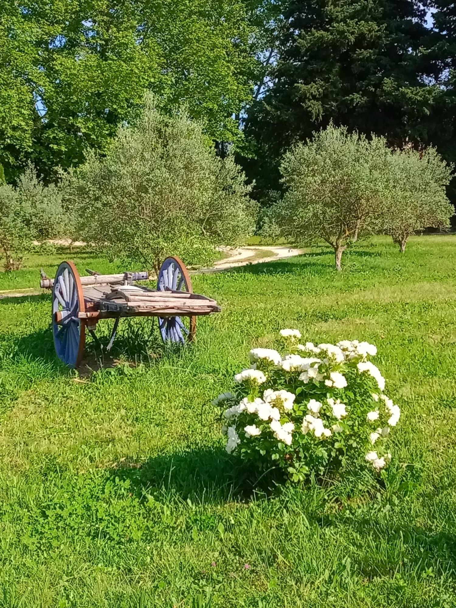 Mas De Karlotte * Pernes-les-Fontaines